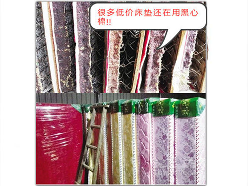 深圳市宝安区新安睡者家具商行,深圳床垫生产,深圳寐棉床垫销售,深圳沫眠床垫,深圳婵棉床垫生产哪家好 深圳市宝安区新安睡者家具商行,深圳床垫生产,深圳寐棉床垫销售,深圳沫眠床垫,深圳婵棉床垫生产哪家好