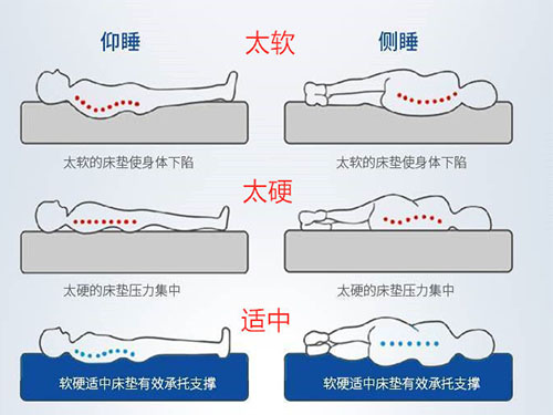 深圳市宝安区新安睡者家具商行,深圳床垫生产,深圳寐棉床垫销售,深圳沫眠床垫,深圳婵棉床垫生产哪家好 深圳市宝安区新安睡者家具商行,深圳床垫生产,深圳寐棉床垫销售,深圳沫眠床垫,深圳婵棉床垫生产哪家好